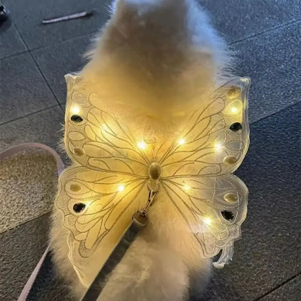 Ailes de papillon lumineuses pour chat