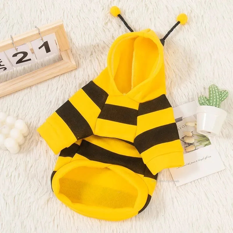 Sweat à capuche abeille pour chat avec antennes à pompons | Chic et Chat