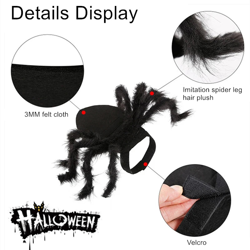 Costume pour chat araignée