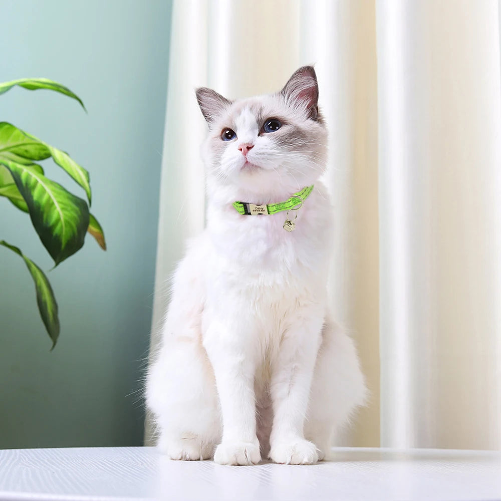 Collar para gato con cierre grabado – Personalización gratuita - Negro | Chic et Chat