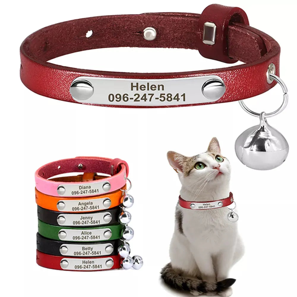 Katzenhalsband Leder | Chic et Chat