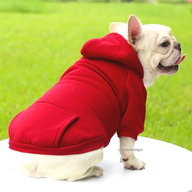 Sweat à capuche pour chat