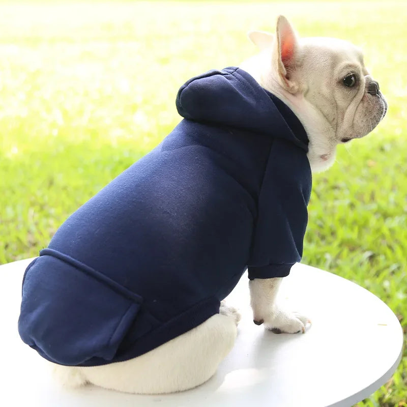 Sweat à capuche pour chat
