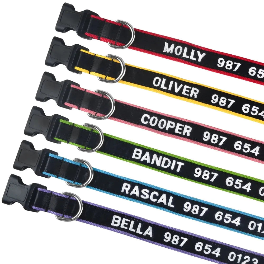 collar personalizable para gato en colores | Chic et Chat