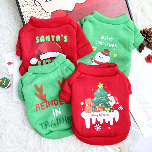 Pull de Noël pour chat