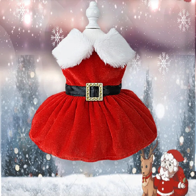 Robe de Noël pour chat