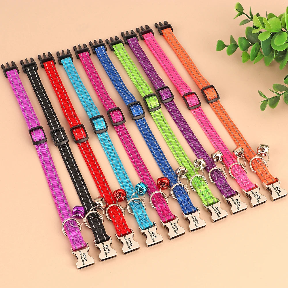 collares grabados para gato | Chic et Chat