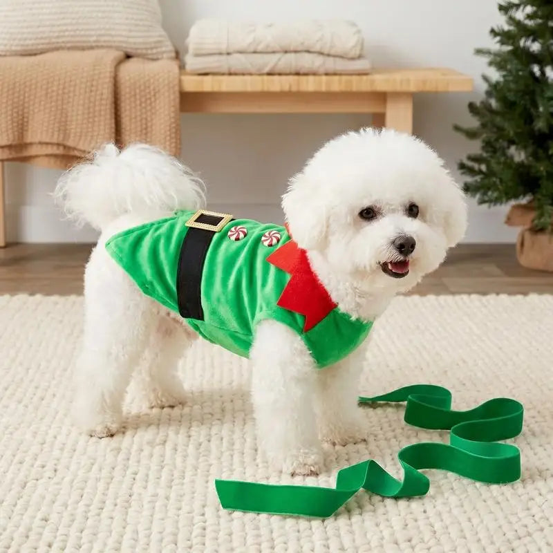 Déguisement lutin de Noël porté par un petit animal blanc | Chic et Chat