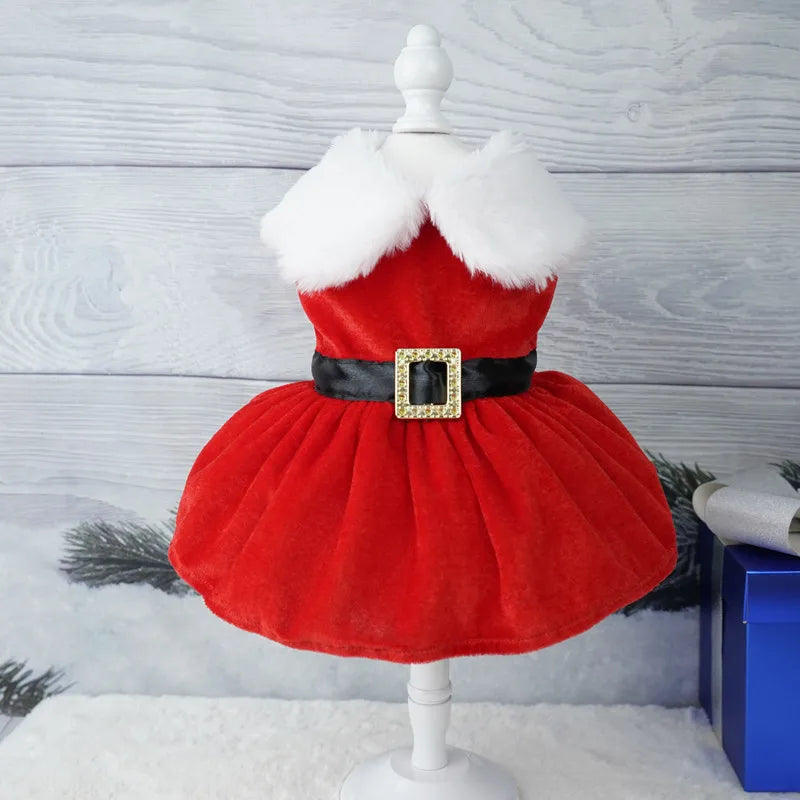 Robe de Noël pour chat