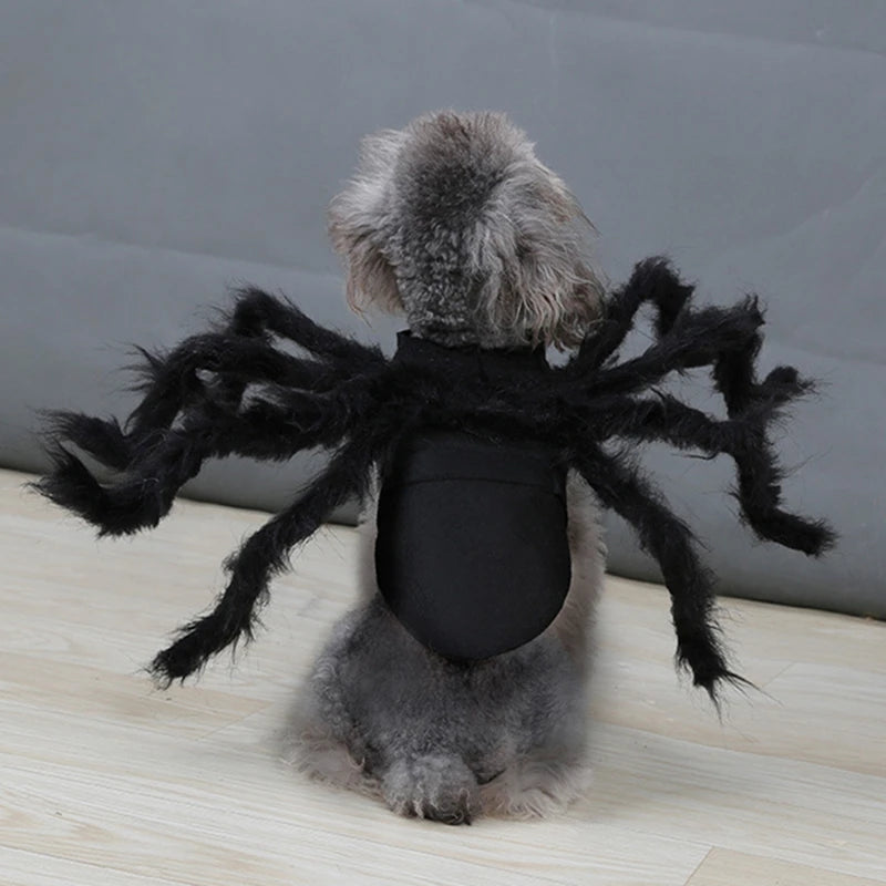Costume pour chat araignée