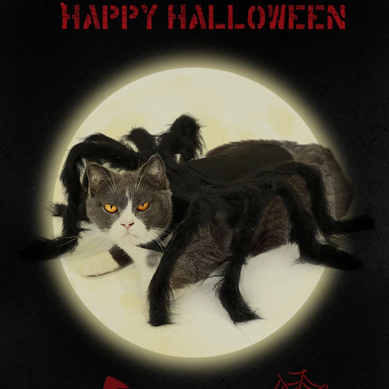Costume pour chat araignée
