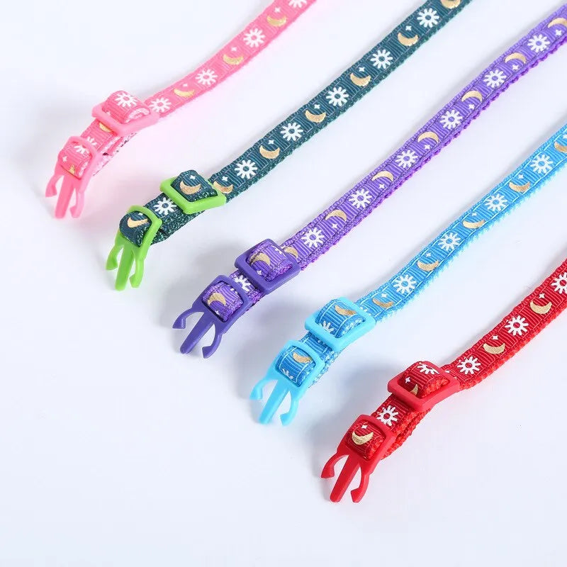 collier pour chat