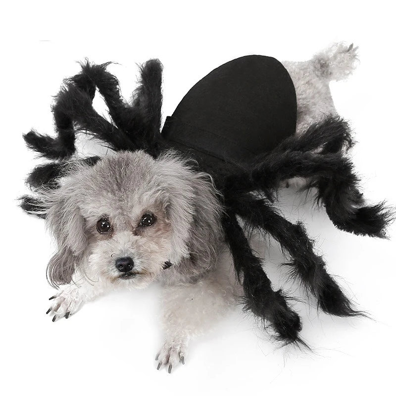 Costume pour chat araignée