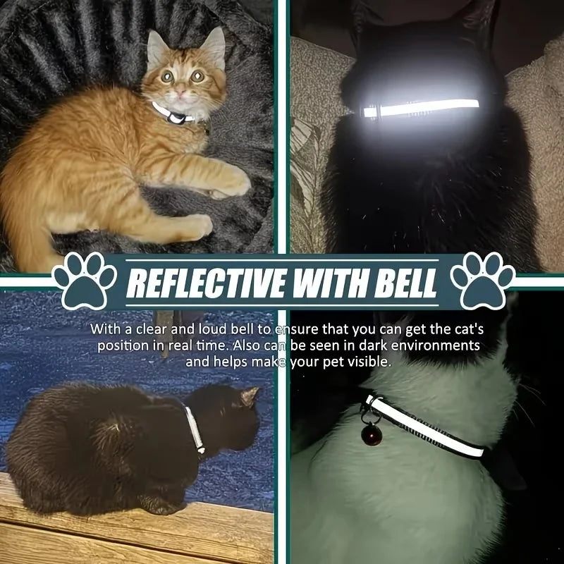 Collier traceur pour chat porté par plusieurs chats