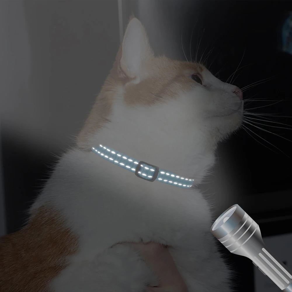 collar gato grabado | Chic et Chat