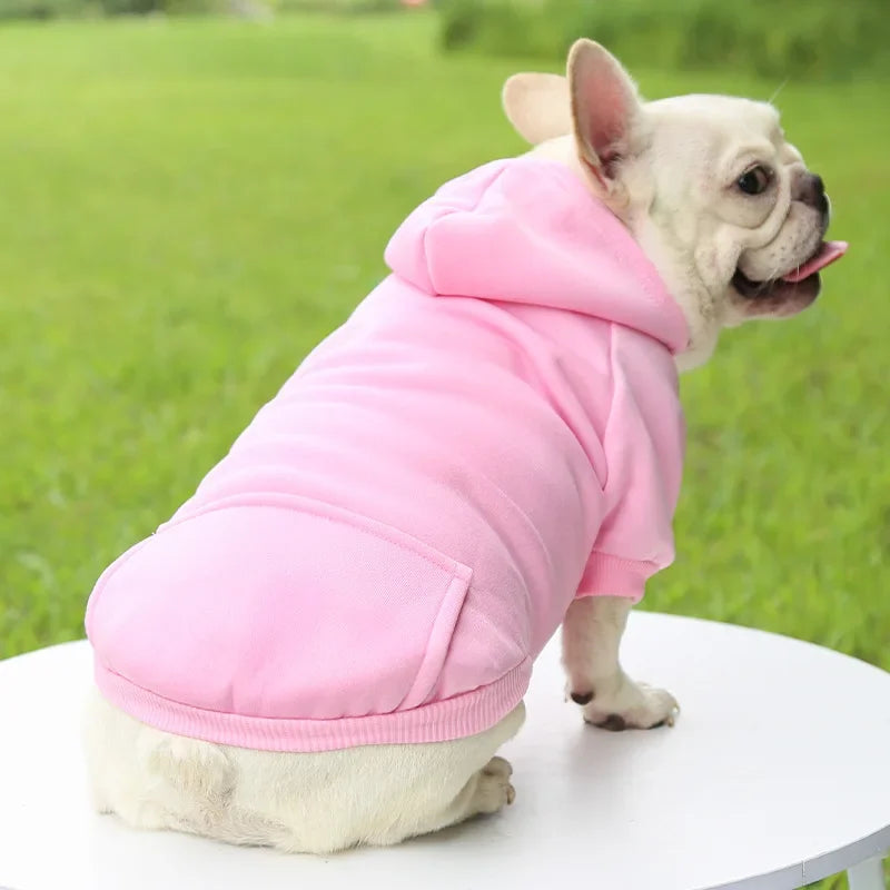Sweat à capuche pour chat