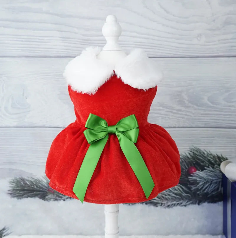 Robe de Noël pour chat