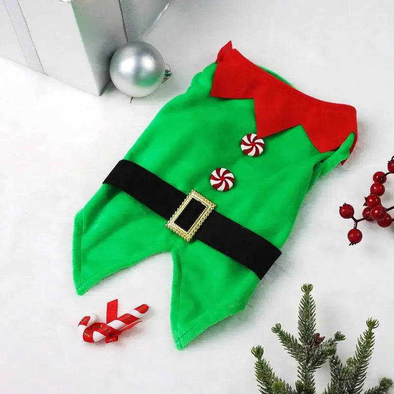 Déguisement lutin pour chat avec boucle dorée et boutons sucre d'orge | Chic et Chat