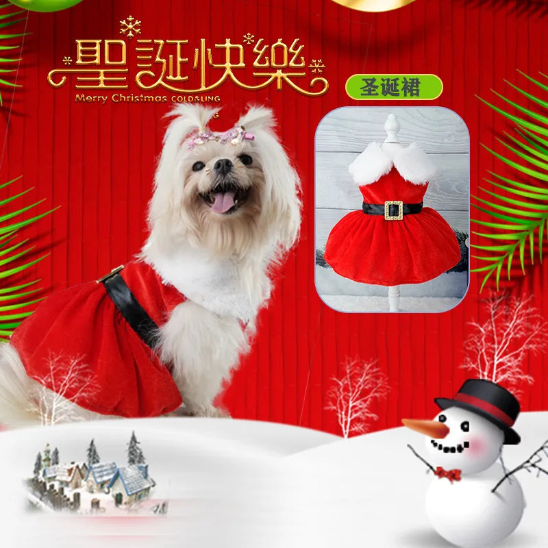 Robe de Noël pour chat