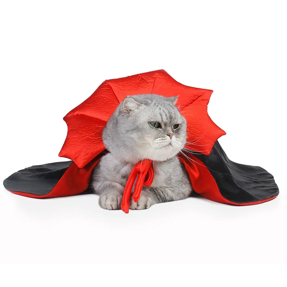 costume pour chat de vampire