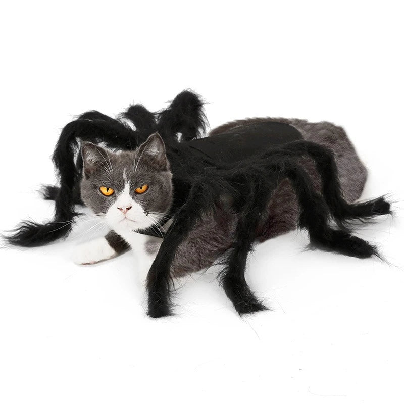 Costume pour chat araignée