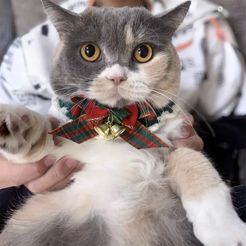 Collerette de Noël pour chat vue de détail