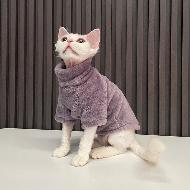 vêtement pour chat sphynx violet