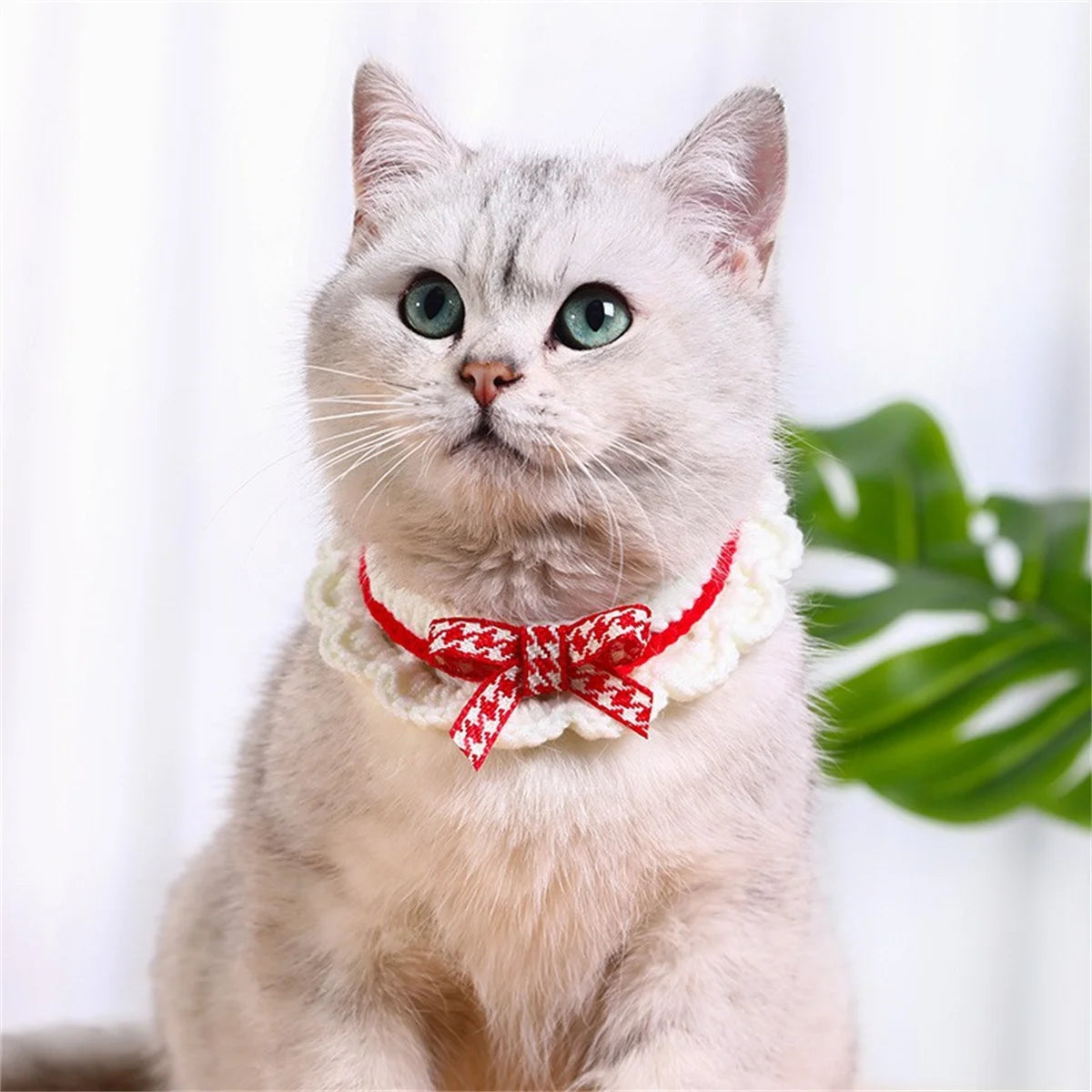 Collerette tricotée pour chat autre vue