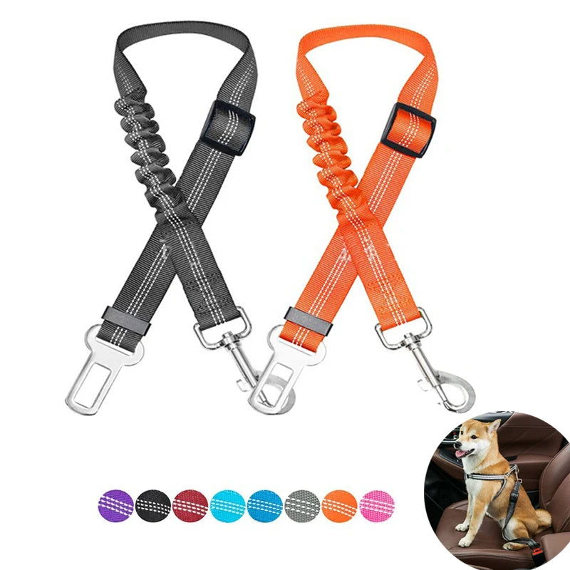 Harnais chat voiture : attaches ceinture de sécurité élastiques grise et orange