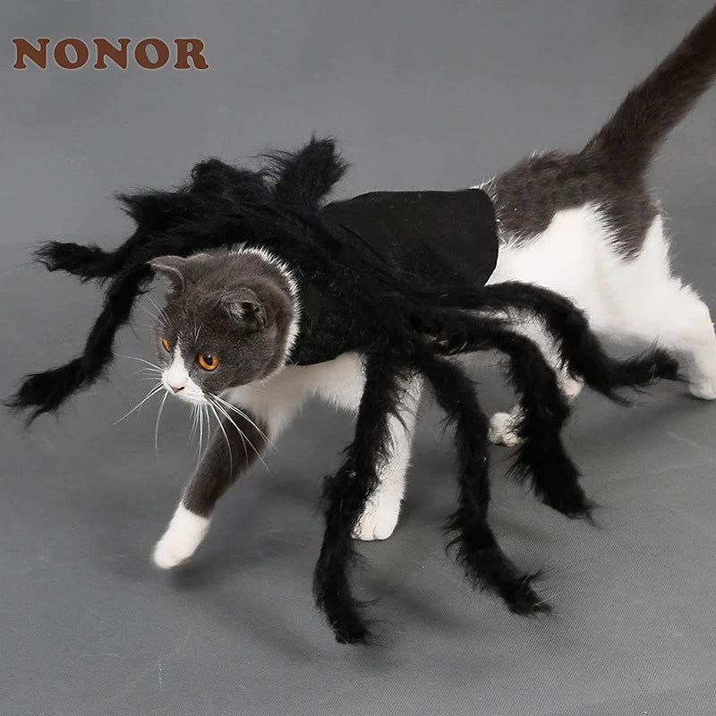 Costume pour chat araignée