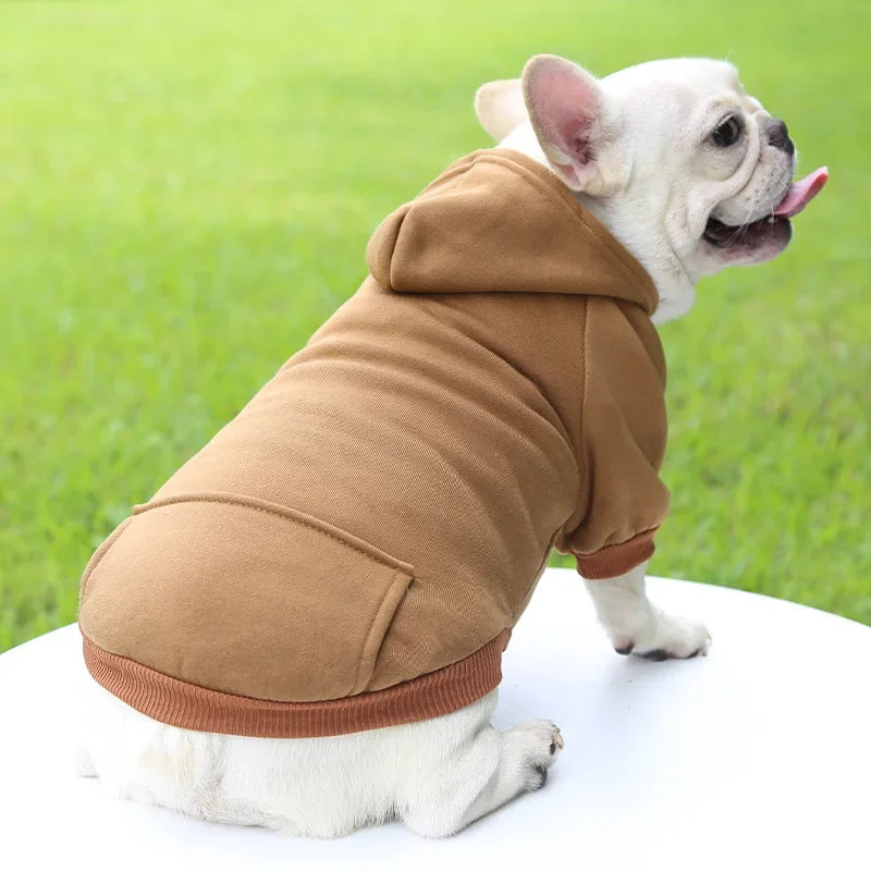 Sweat à capuche pour chat
