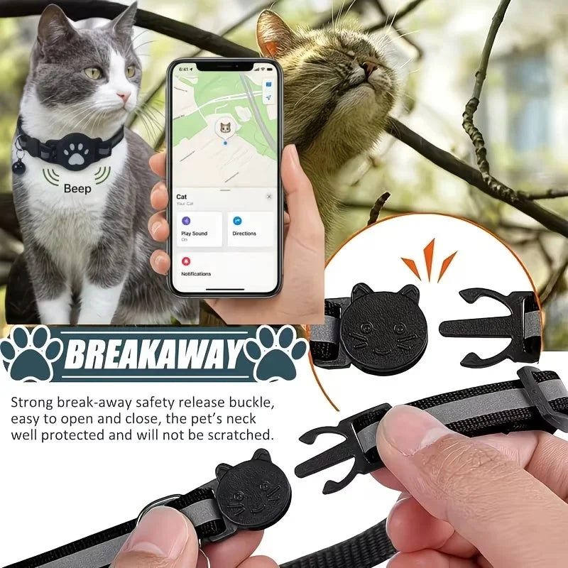Chat portant le collier traceur, position sur iPhone