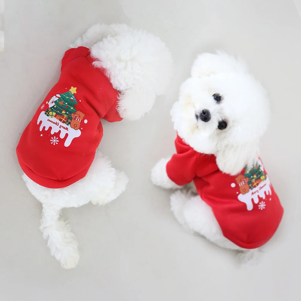 Pull de Noël rouge motif sapin porté par un petit animal | Chic et Chat