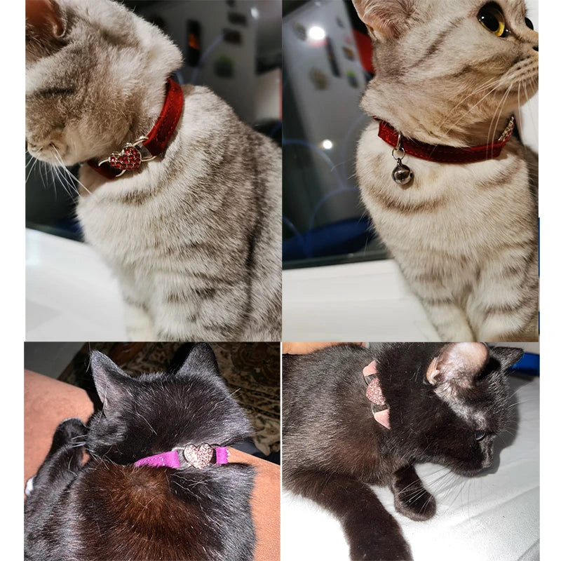 Collier pour chat coeur en strass plusieurs coloris