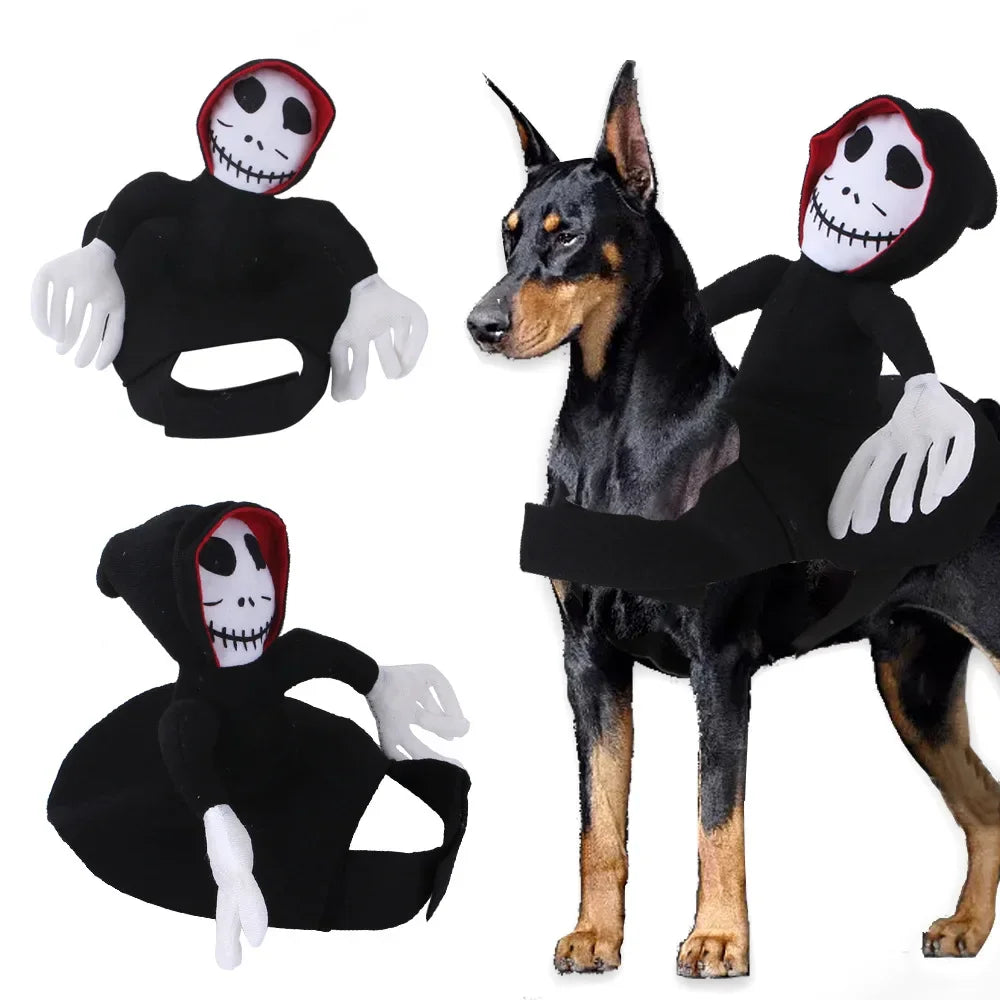 Costume Halloween pour chat, fantôme squelette qui chevauche votre animal | Chic et Chat