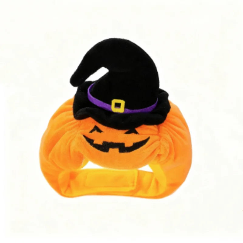 Chapeau citrouille d'Halloween pour chat sur fond blanc | Chic et Chat