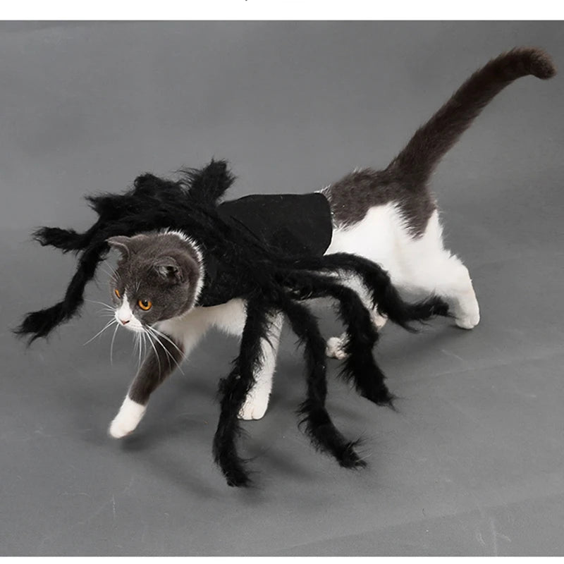 Costume pour chat araignée