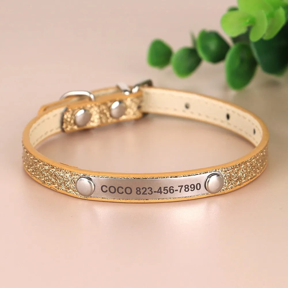 collier doré chat personnalisé | Chic et Chat