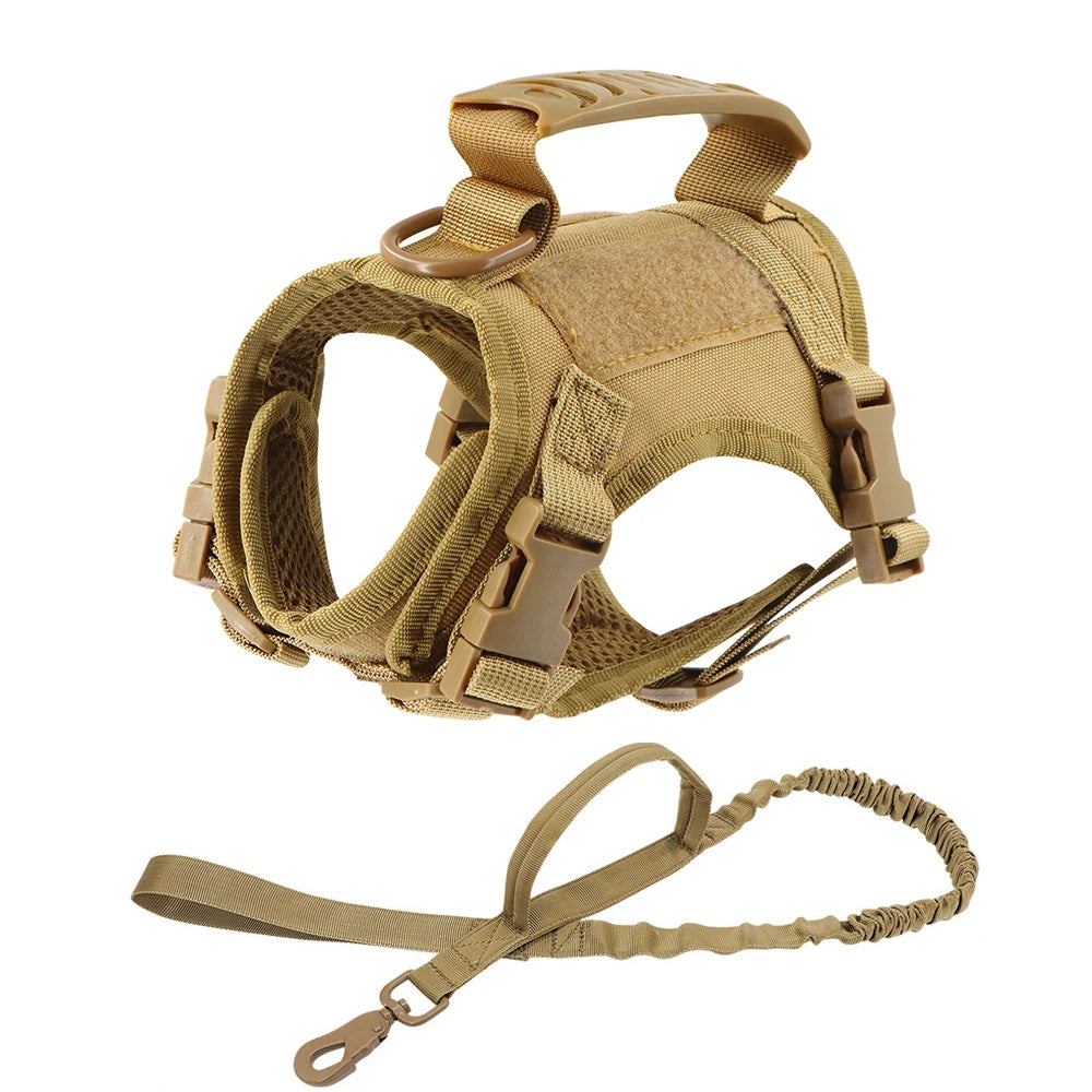 Harnais tactique pour chat marron avec sa laisse