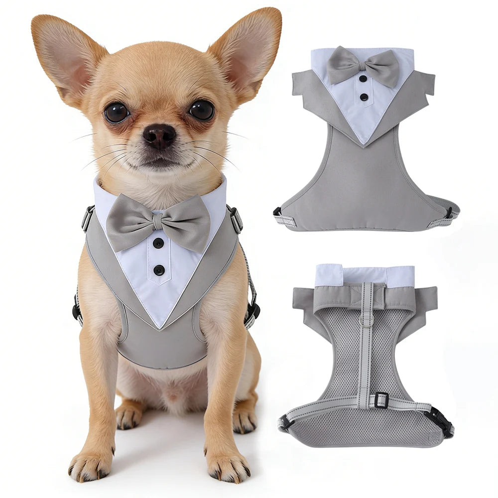 Costume de mariage pour chat, smoking harnais gris avec nœud papillon | Chic et Chat