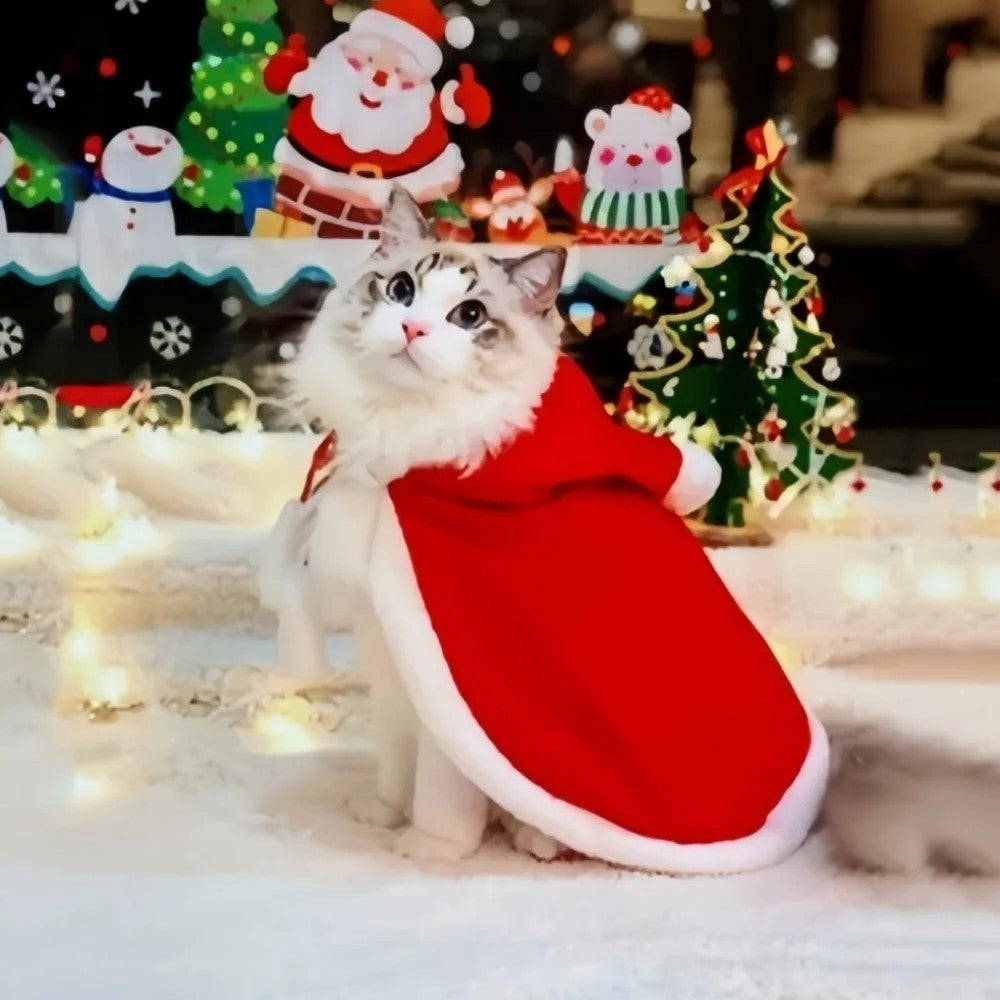 Giacca di Natale per gatto
