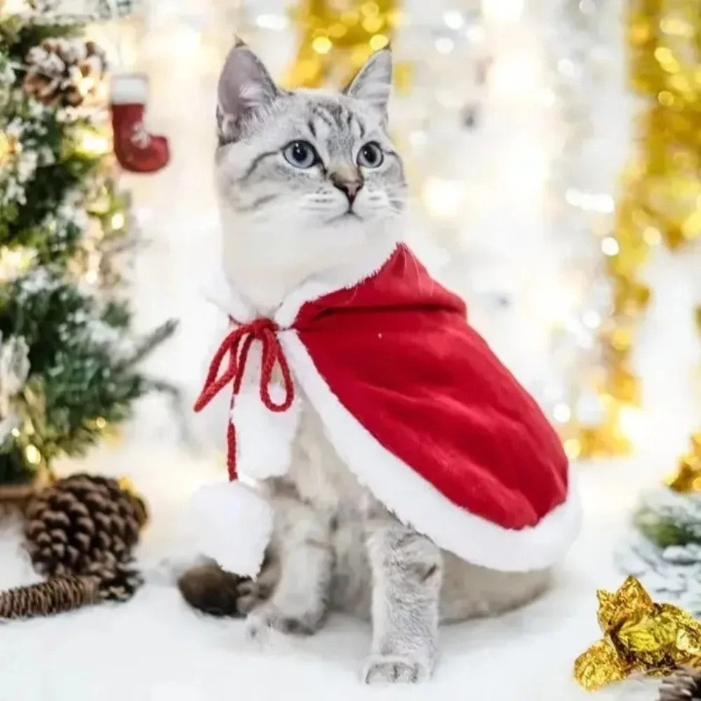 Giacca di Natale per gatto