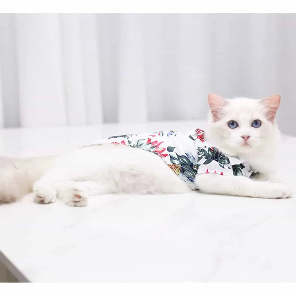 t shirt hawaii pour chat blanc