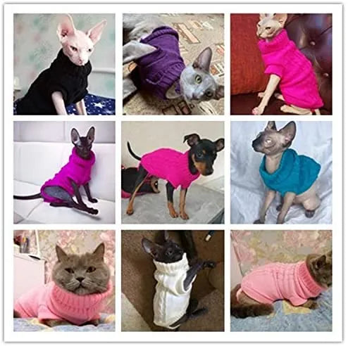 vêtement pour chat