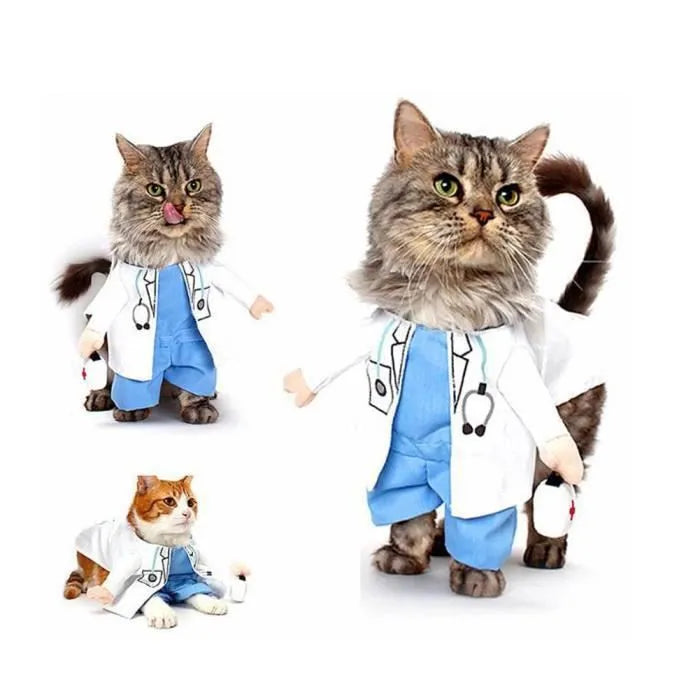 Witziges Arzt Kostüm für Katzen | Chic et Chat