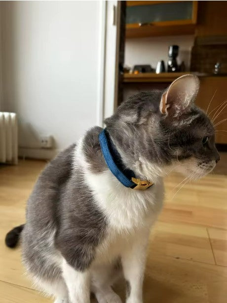 collar gato personalizado | Chic et Chat
