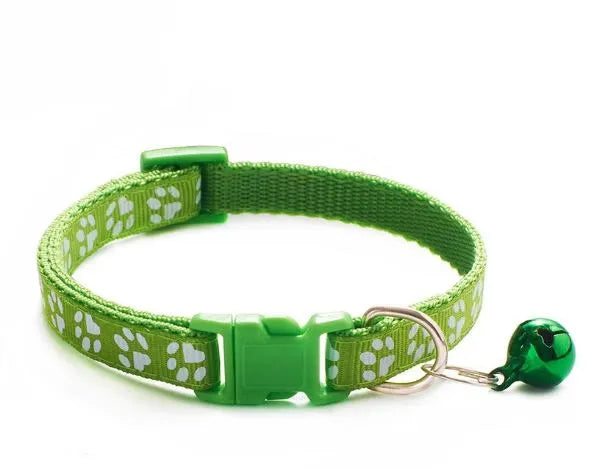 collier pour chat nylon vert