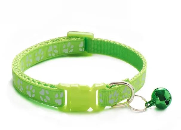collier pour chat nylon vert clair