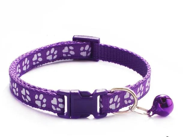 collar de nailon para gato violeta | Chic et Chat
