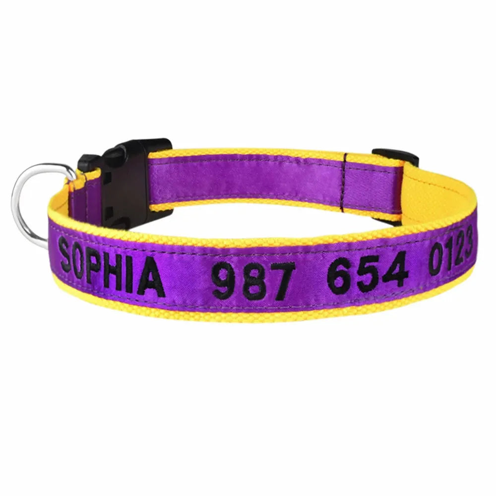 collier violet pour chat personnalisé